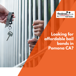 bail bonds in pomona ca (1).png