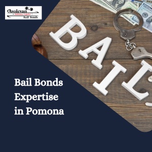 avolevan bail bonds pomona.png