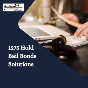 1275 hold bail bonds (2).png