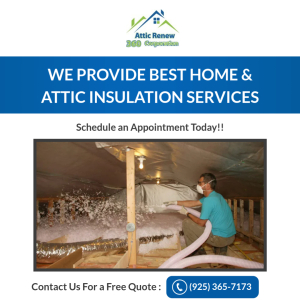 Attic Renew 360.jpg