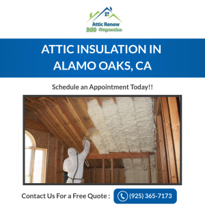 Attic Renew 360.jpg