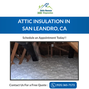 GMB - Attic Renew 360.jpg