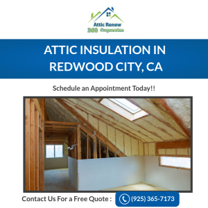 Attic Renew 360.jpg