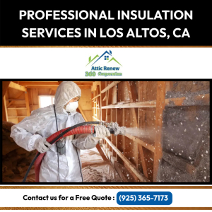 Attic Renew 360.jpg