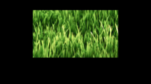 FC6F8E46-A262-448F-B1A0-CDA5DB7836FD.png