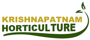 KPH_Logo.jpg