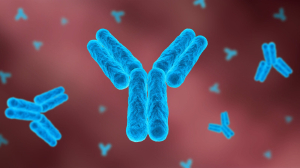 Antibody (3).jpg